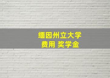 缅因州立大学 费用 奖学金